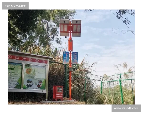 比甲根特打造智能球场 太阳能屋顶覆盖全年能耗 比甲根特打造智能球场 太阳能屋顶覆盖全年能耗